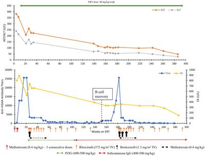 An updated management approach of Pompe disease patients with high-sustained anti-rhGAA IgG antibody titers: experience with bortezomib-based immunomodulation